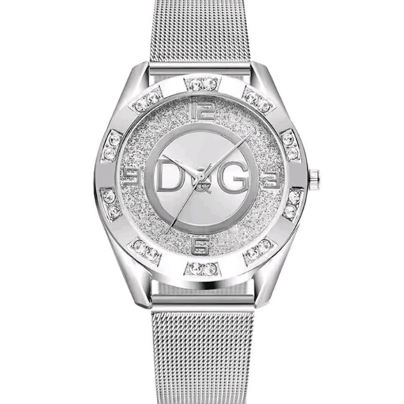 NEW 🦋 D&G 🦋Women's Silver Mesh Watch W/New Box - Picture 1 of 3